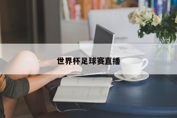世界杯足球赛直播