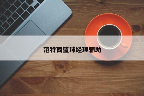 范特西篮球经理辅助