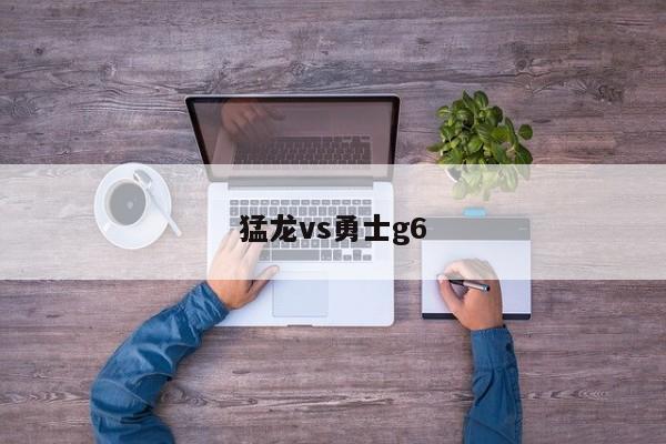 猛龙vs勇士g6
