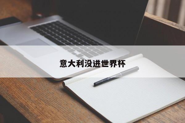 意大利没进世界杯