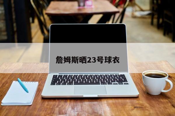詹姆斯晒23号球衣