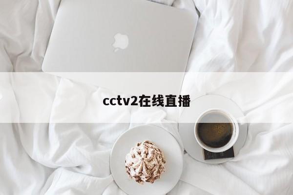 cctv2在线直播
