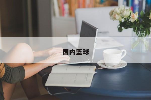 国内篮球
